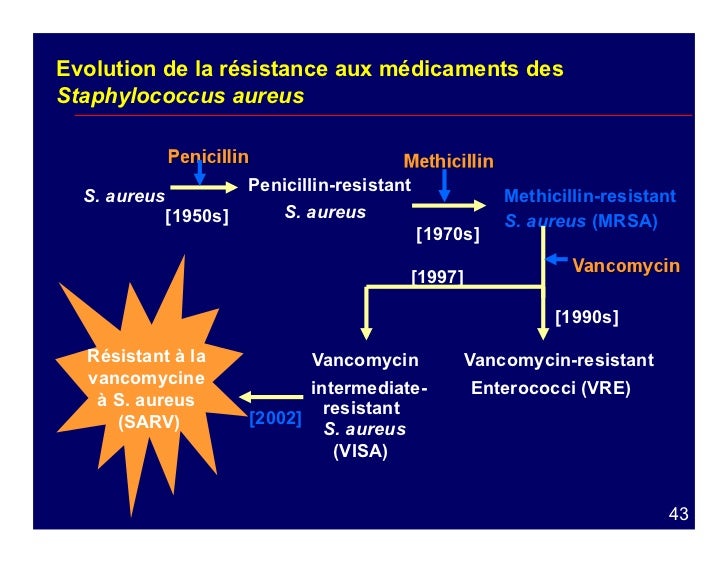 Coût Du Amoxicillin