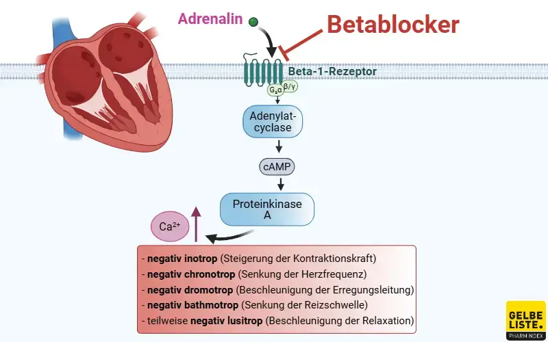 propranolol lek 40 mg