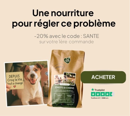 Comment Acheter Du Tramadol
