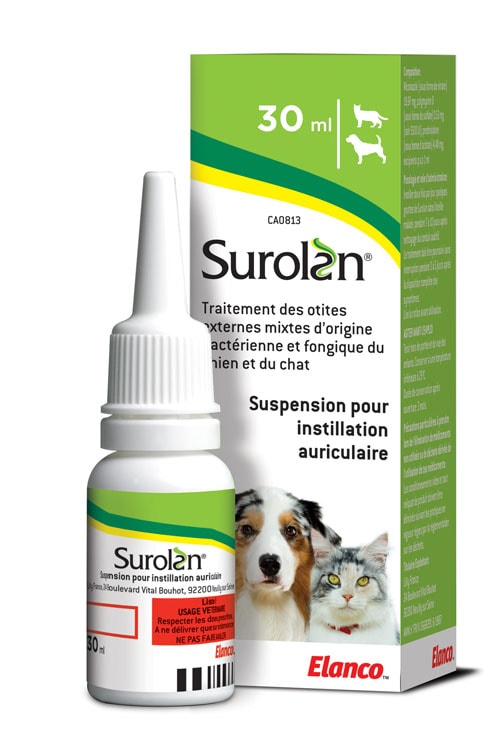 Acheter prednisolone 20 mg pour chien