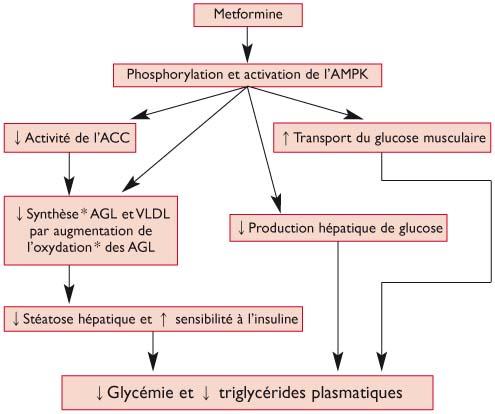 glucophage le moins cher