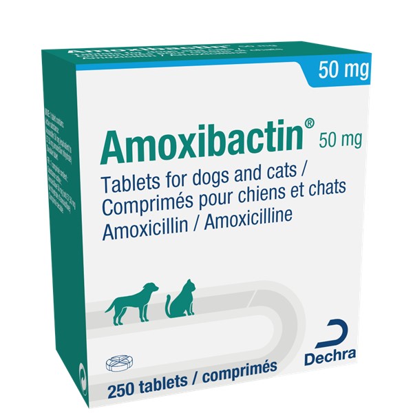 Interaction Amoxicilline Pilule