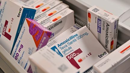prix du amoxicilline