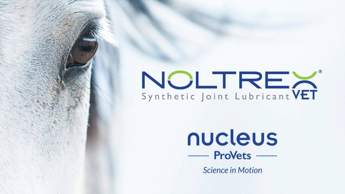 Nolvadex france