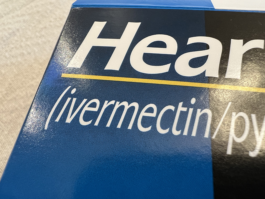Ivermectine creme france