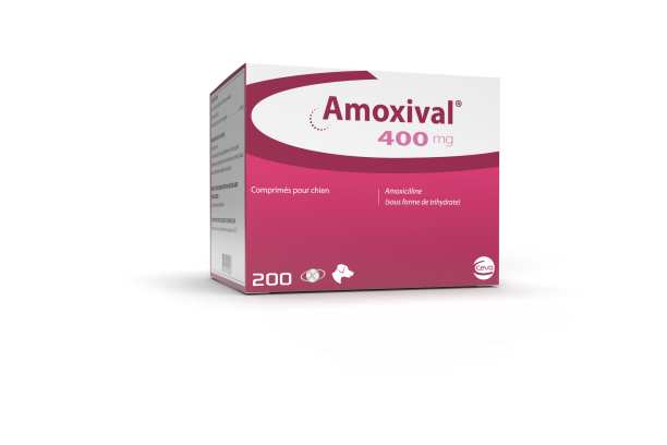 Commander du amoxil en ligne