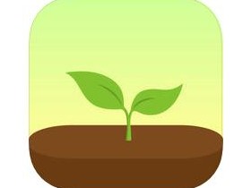 Comment Acheter Du Forzest