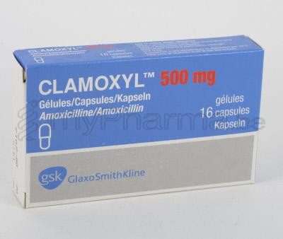 prix amoxicilline 500 mg