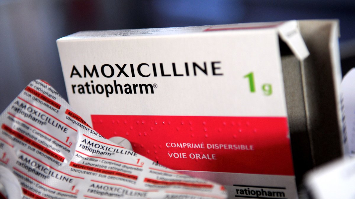 amoxicilline biogaran prix