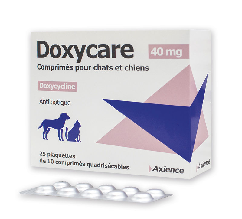 Amoxicilline Sans Ordonnance Belgique