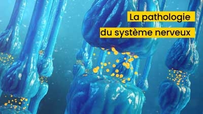 Baclofen Mylan Prix
