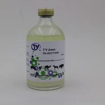 Ou acheter de lamoxicilline