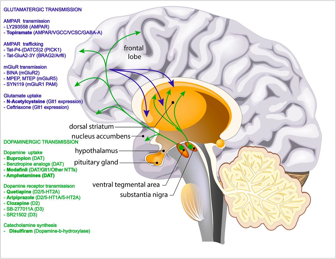 Modafinil Achat Europe