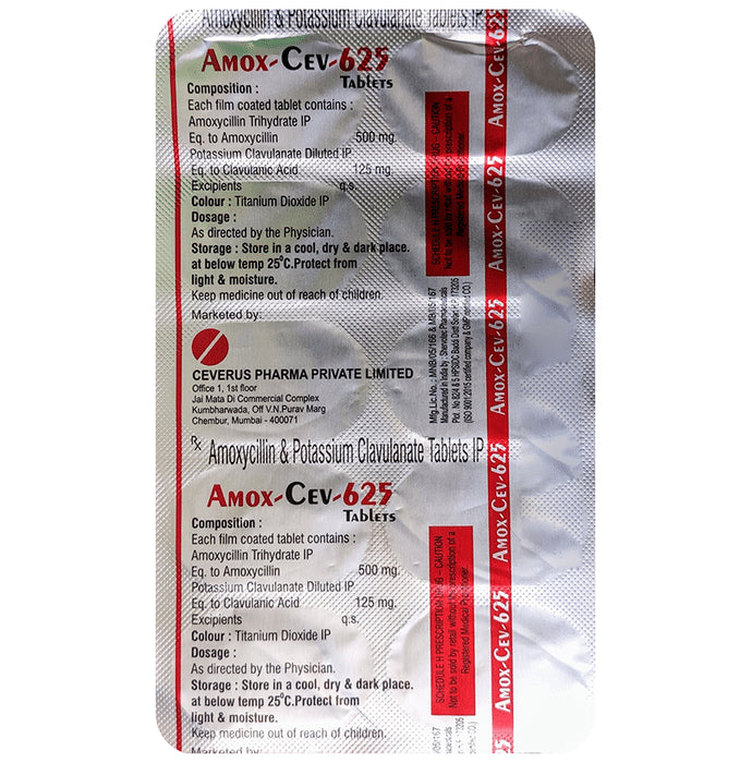 Amoxicilline zydus france 500 mg