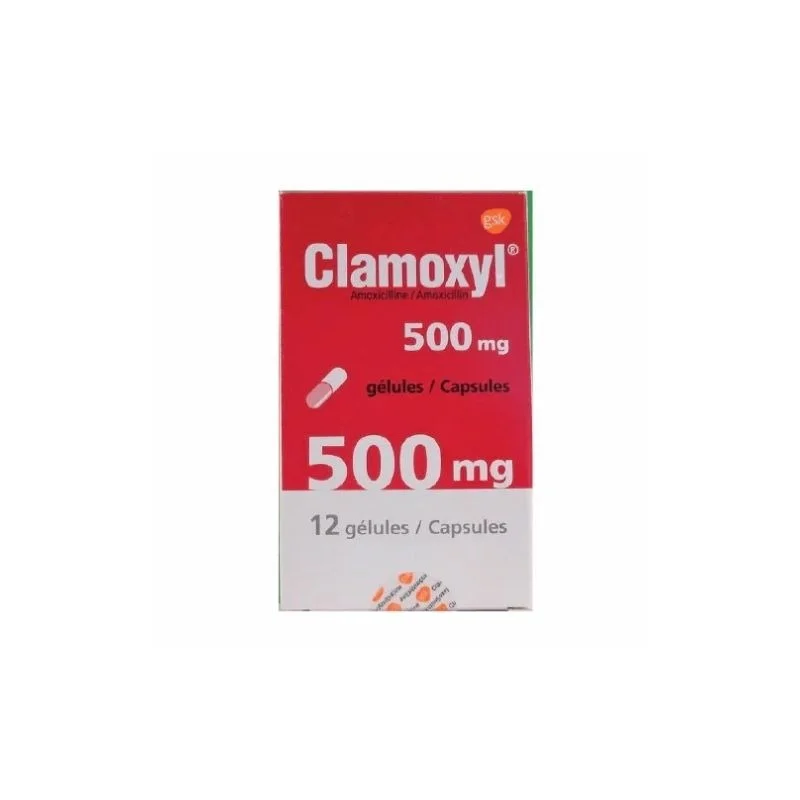 amoxicilline 500 achat