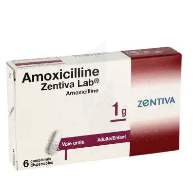 Amoxicilline arrow 1 g prix