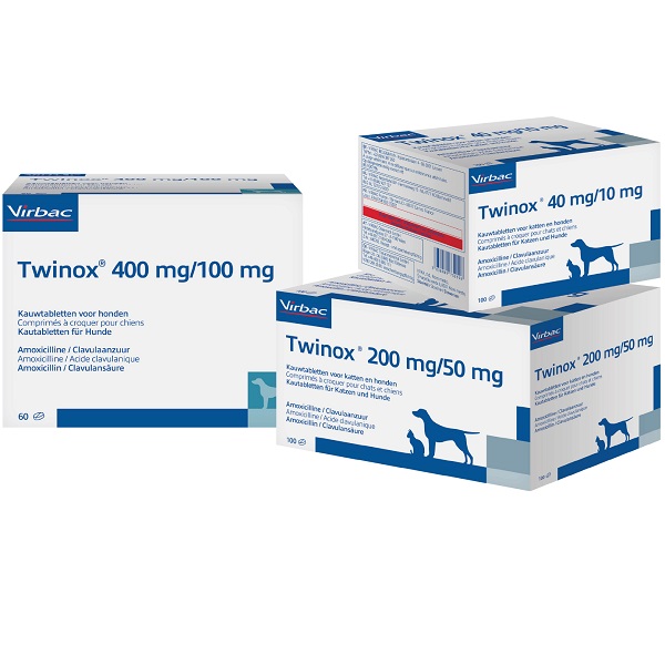 Amoxicilline Vente En Ligne