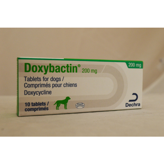 Doxycycline chat prix