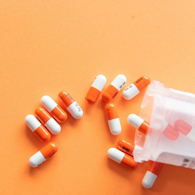 Prednisolone chien prix