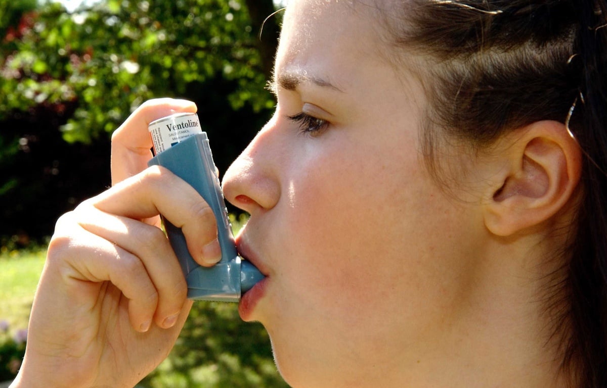 Achat de salbutamol