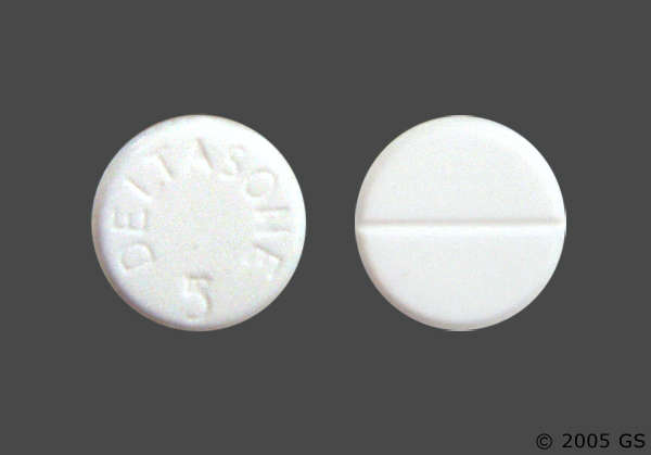 Prednisolone 20 mg kela prix