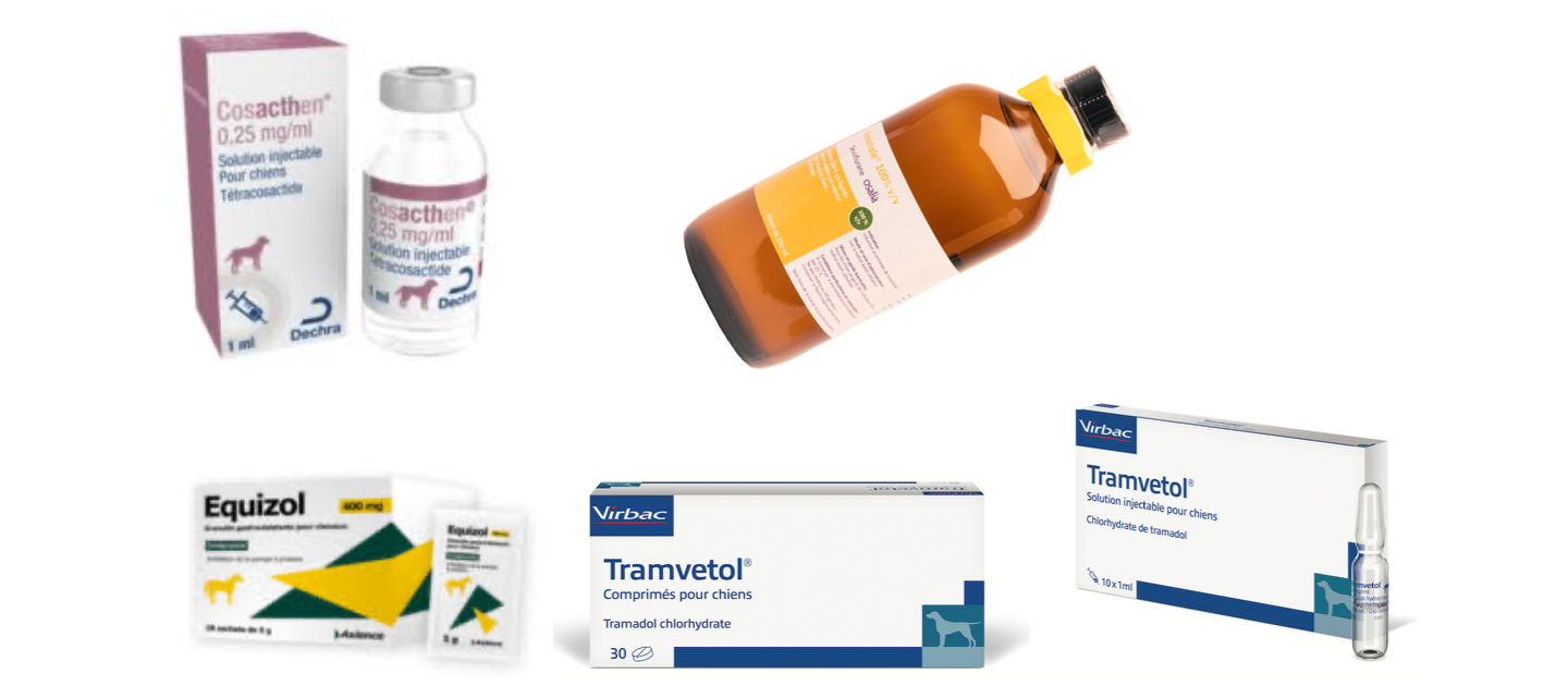 tramadol lp generique