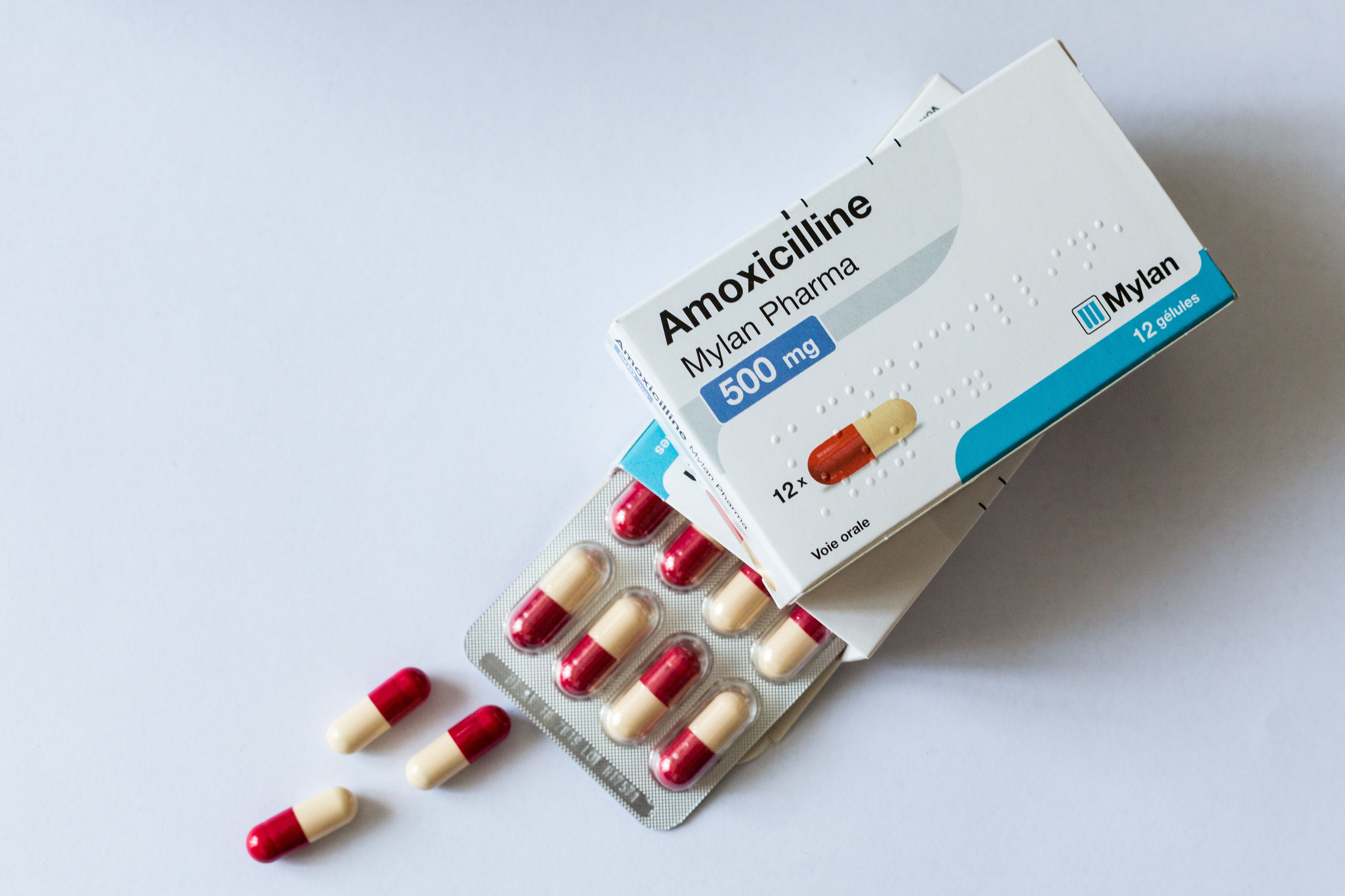 Prix Du Médicament Amoxicilline