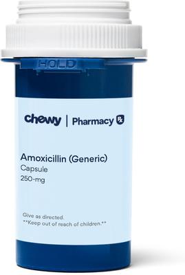 amoxicillin générique