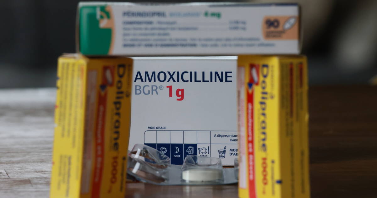 prix de lamoxicilline