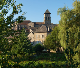Acheter Silvitra