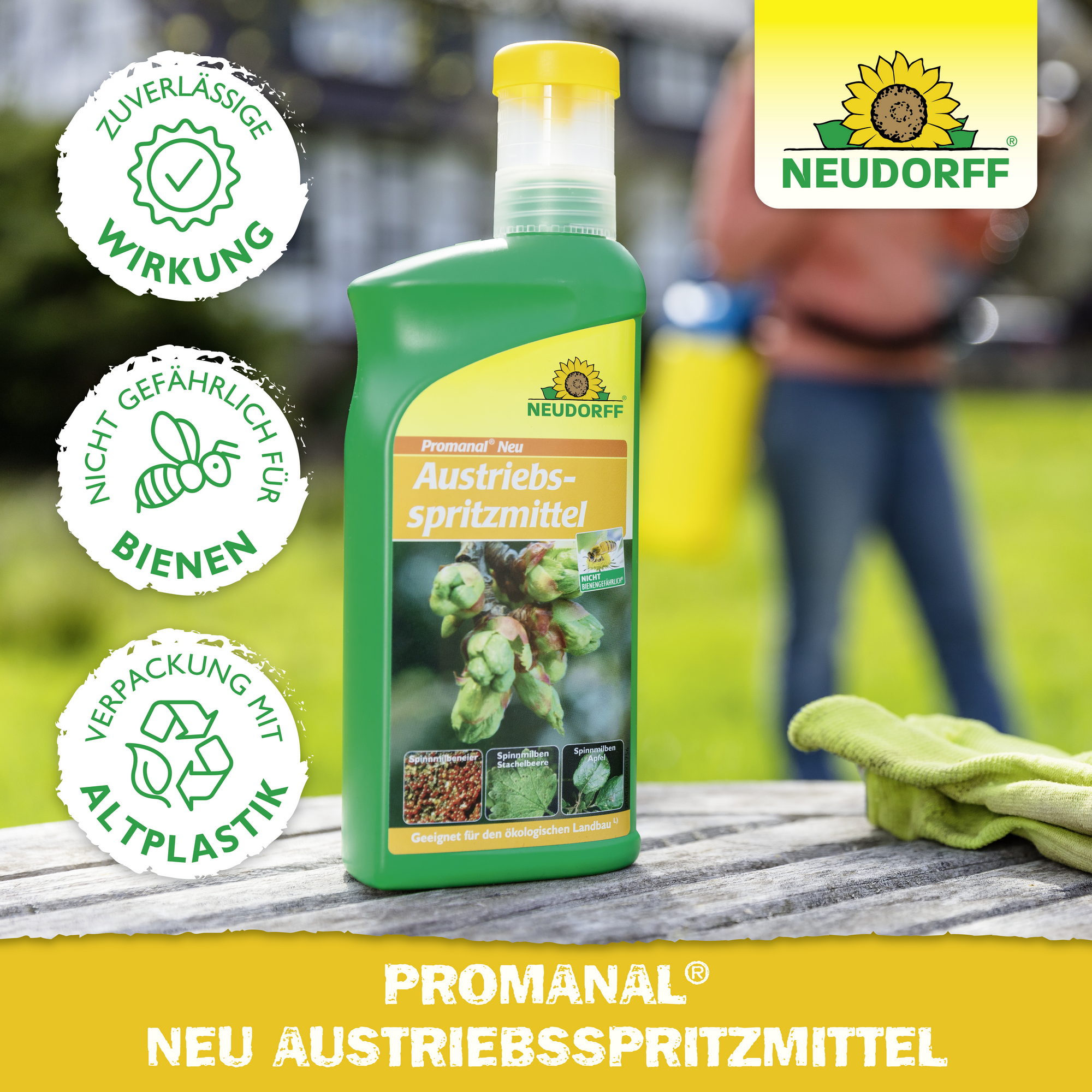 Acheter zaleplon