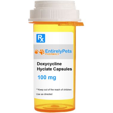 doxycycline générique