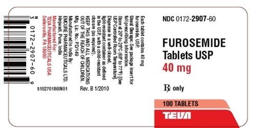 Furosemide 40 Mg En Espanol