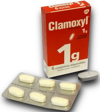 Amoxicilline Générique De Quel Médicament