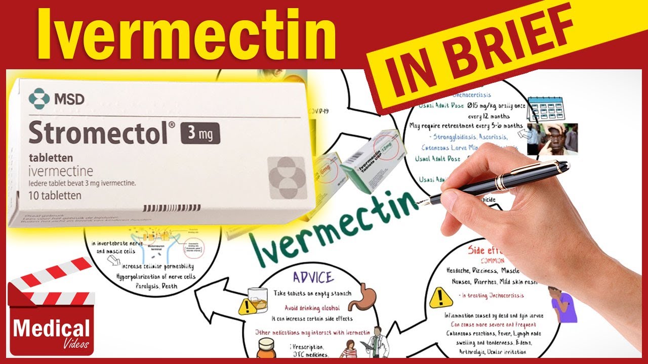 Stromectol ivermectin 3 mg