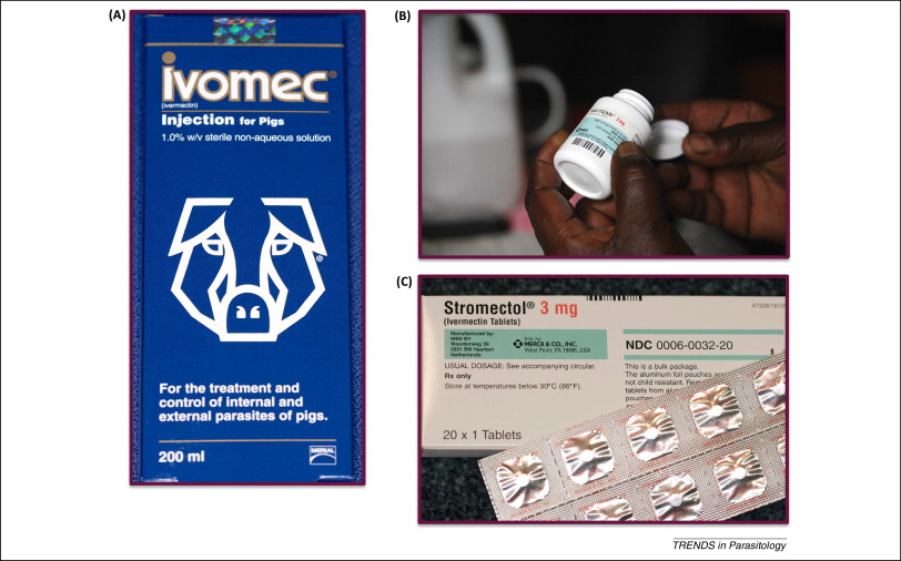 Stromectol 3 mg france