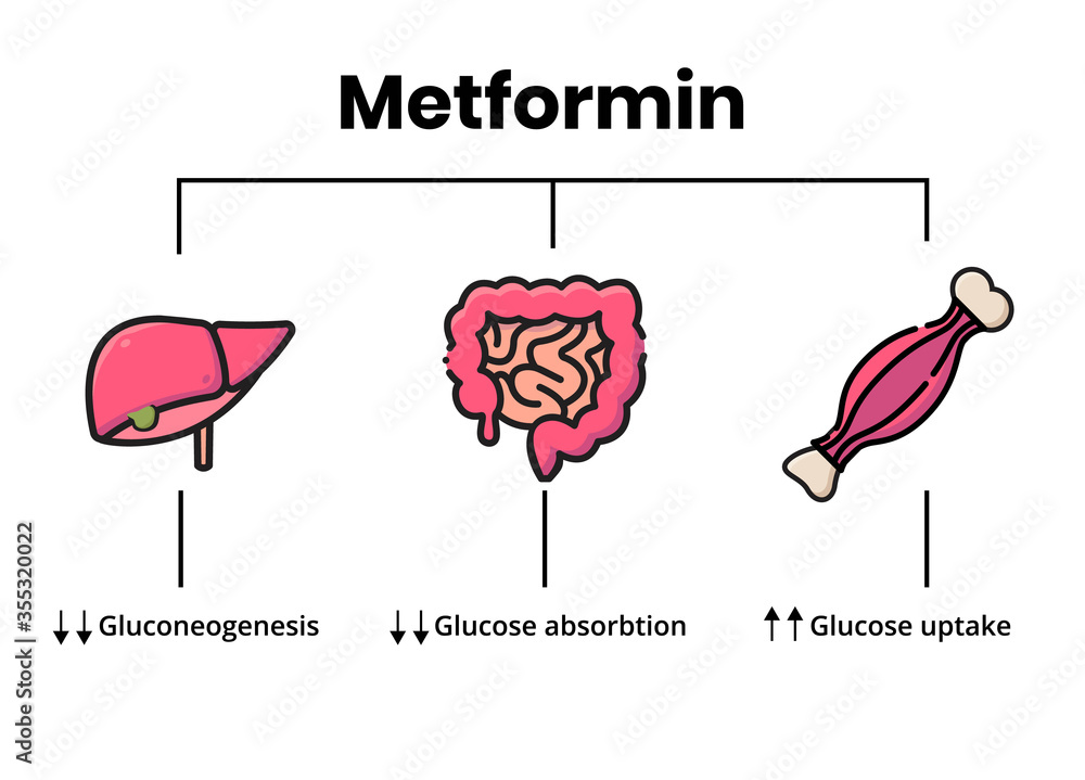 Acheter Metformin