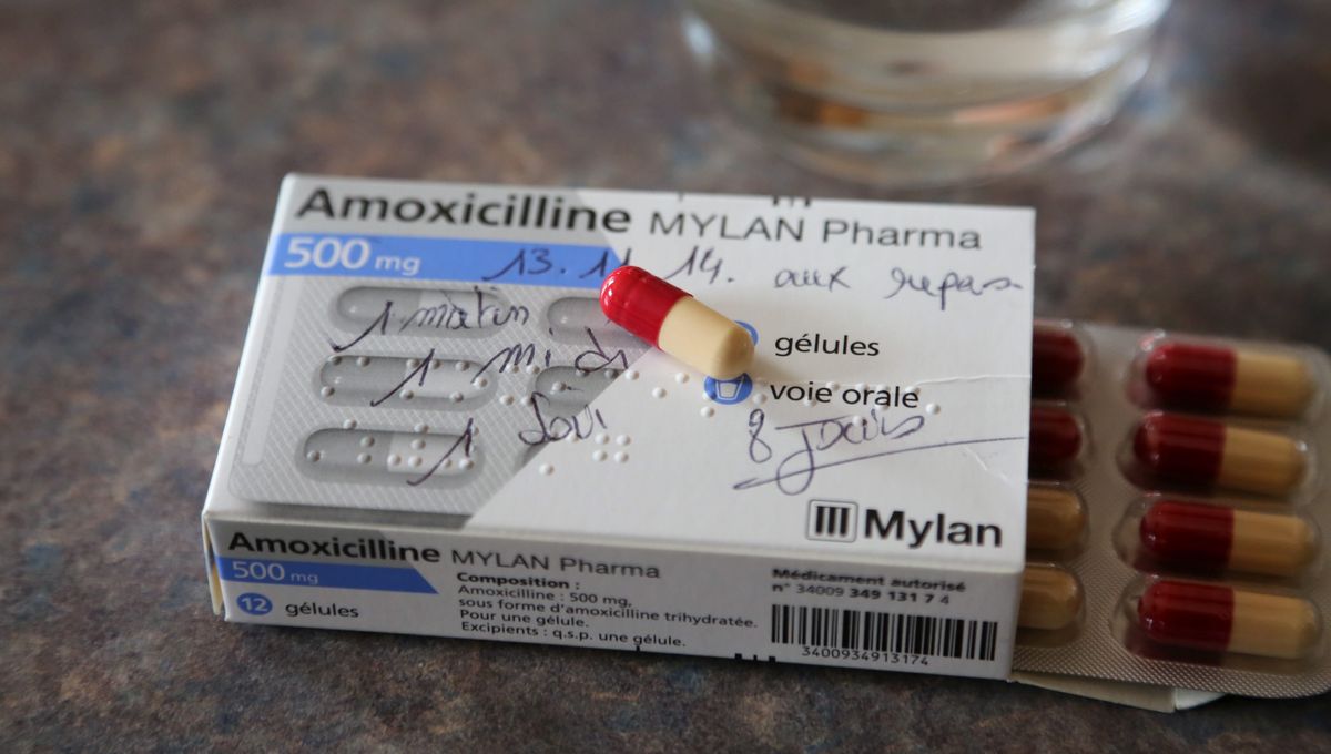 Amoxicilline mylan generique