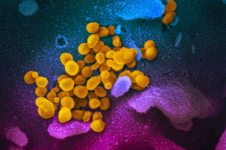 Ivermectine Disponible En France