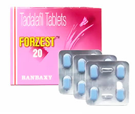 Commander Du Forzest Generique