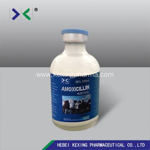 Prix du amoxil