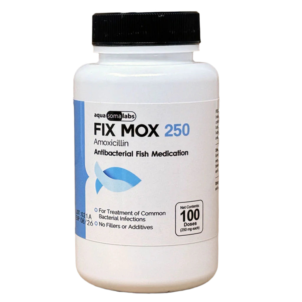 Amoxicillin Pharmacie Online