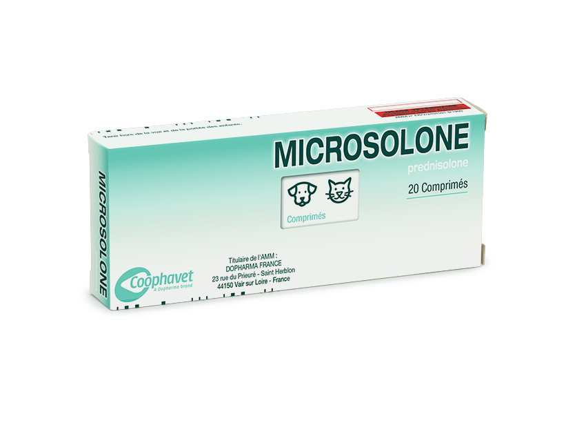 Prednisolone 20 prix