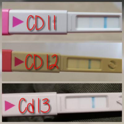 Clomid 100mg