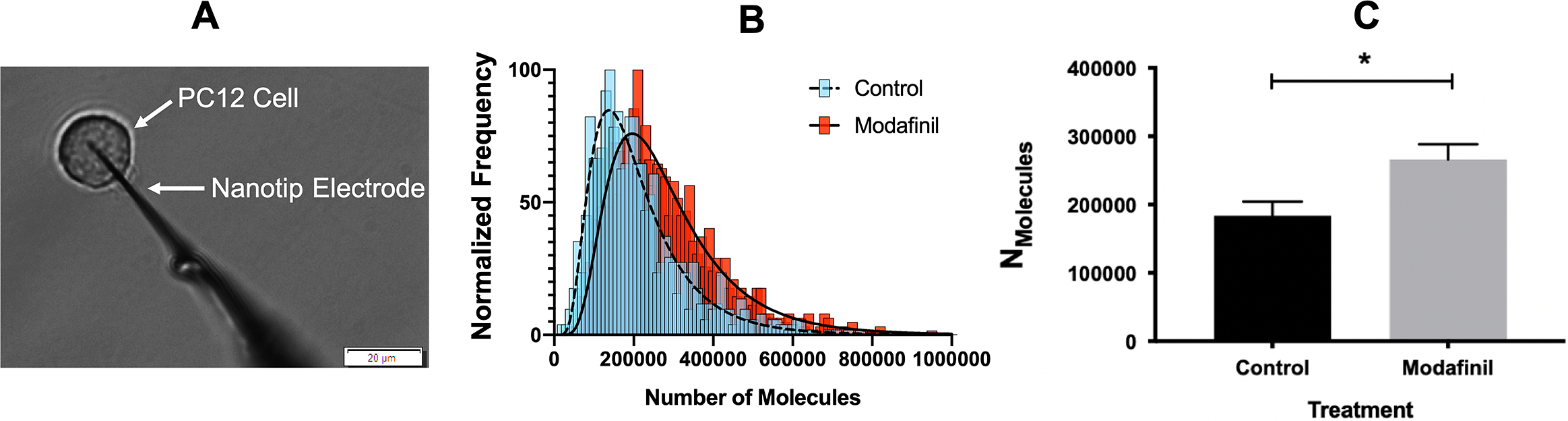 Modafinil In France