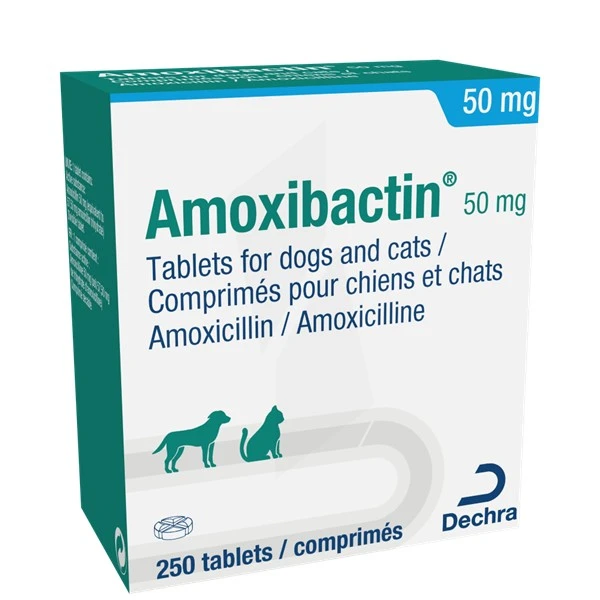 amoxicilline achat en ligne