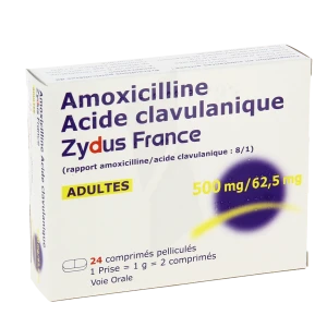 amoxicilline zydus france 500 mg