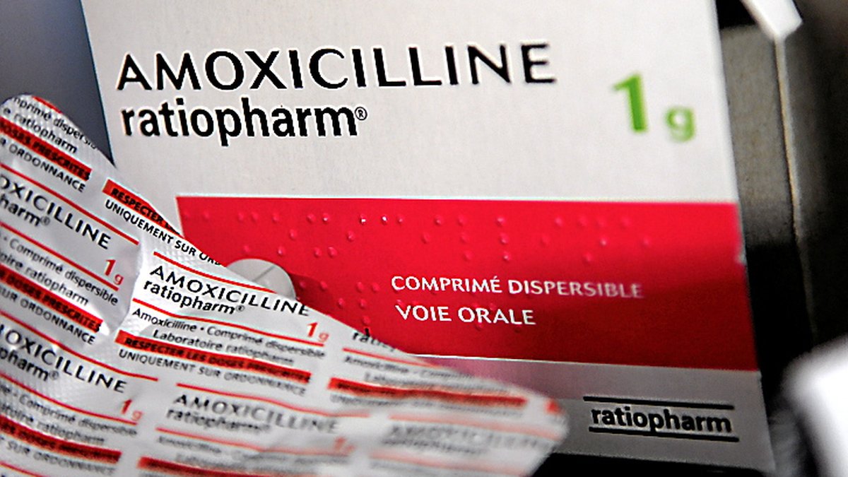 Prix Amoxicilline 500