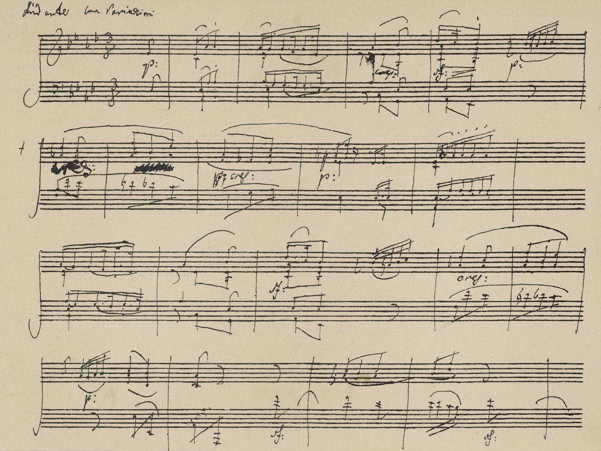 Acheter Sonata