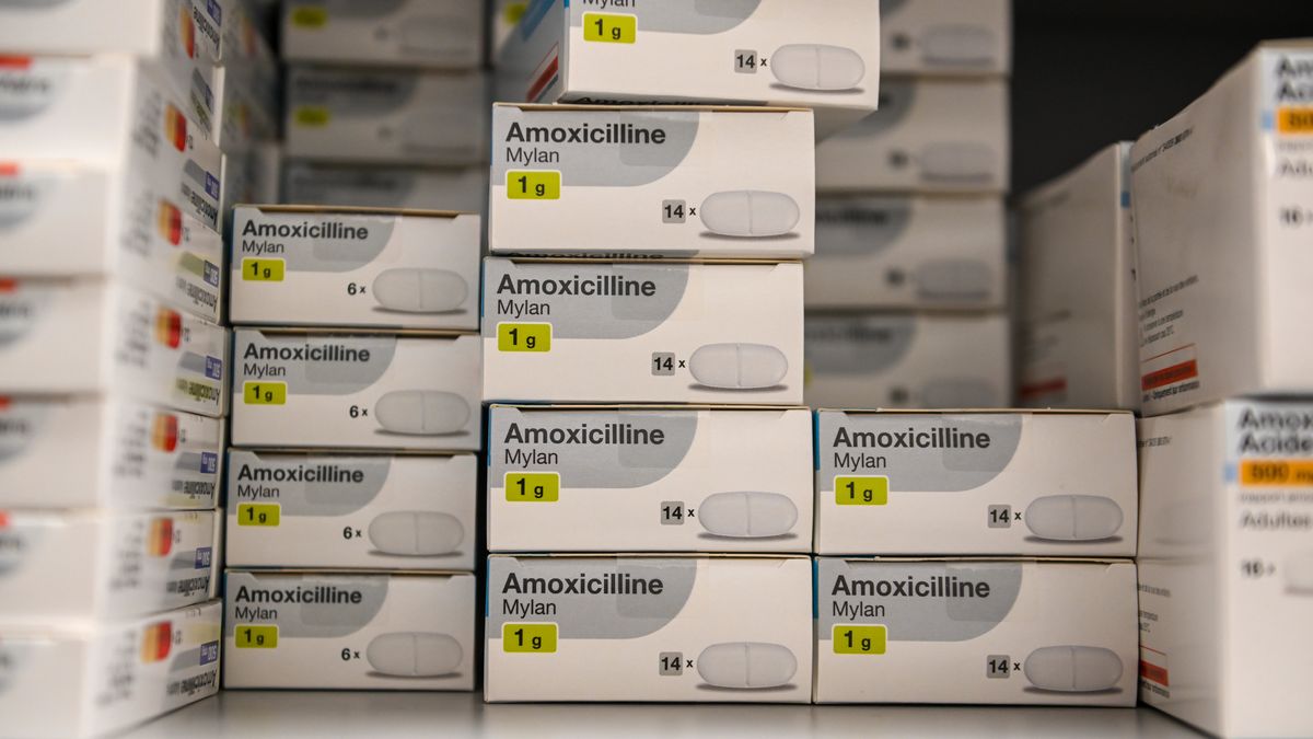 Prix Antibiotique Amoxicilline